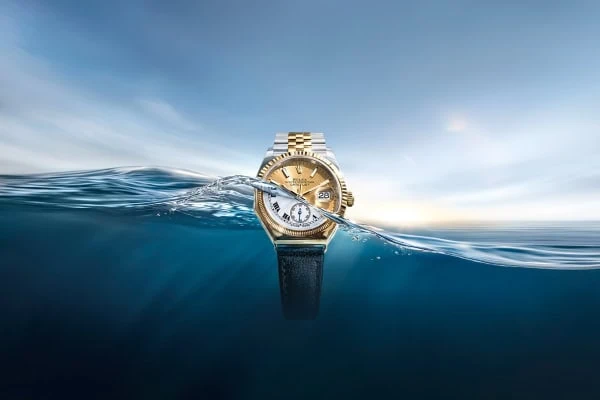 Oyster Story Banner - Lucerne Watches Oyster Story Banner - Lucerne Watches